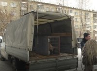Георгий Андреев организовал отлов бездомных собак на своем округе